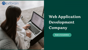 What are the top benefits of a web application development company?